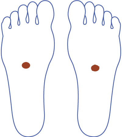 「副腎」の足裏反射区
