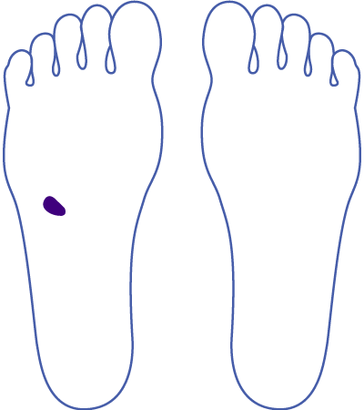 「胆嚢（たんのう）」の足裏反射区